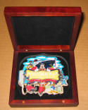 pin-dcl-ju-med-2007-2.jpg (374979 bytes)